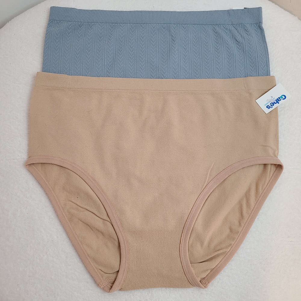 Under Control 2pk Seamless Stretch Nylon Mid-rise Brief Panties Size 1X